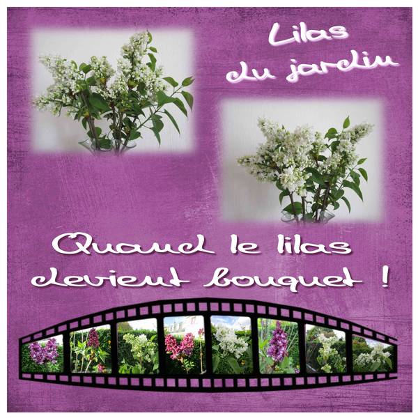 Défi Faites un film de Gilberte