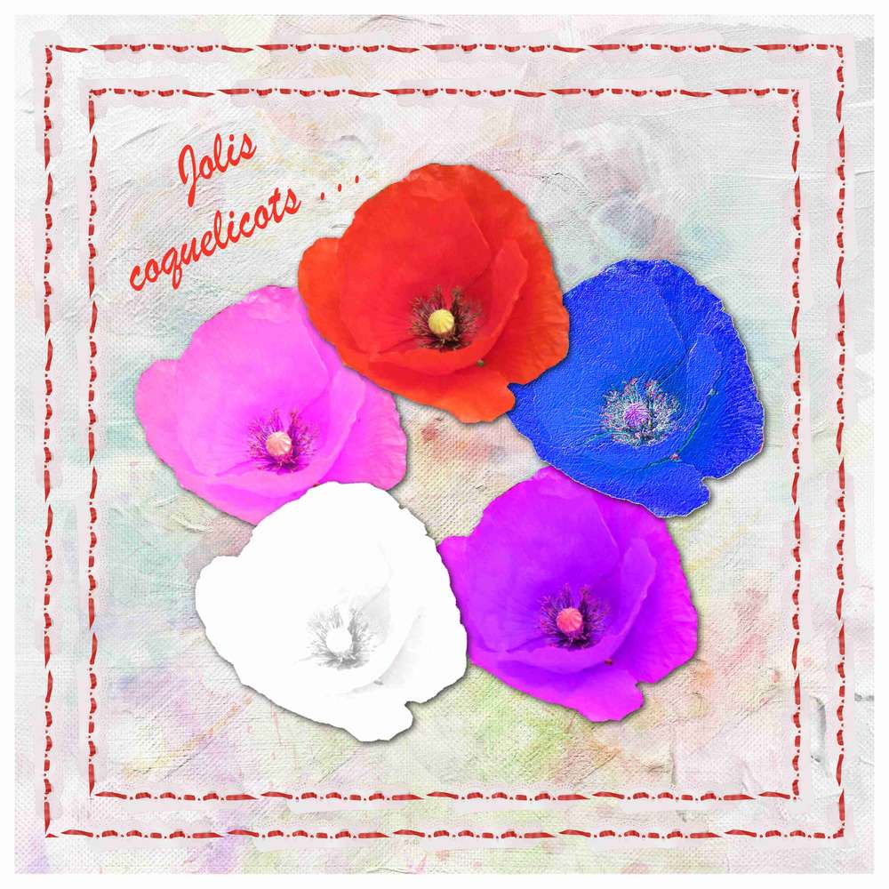 Défi Fleurs en couleur de Max