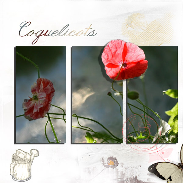 Defi Fleurs Laurette