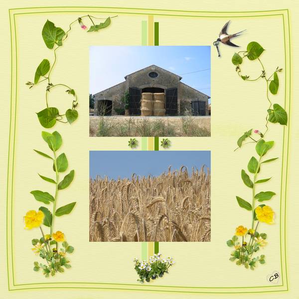 Défi Flomelle morpion 1