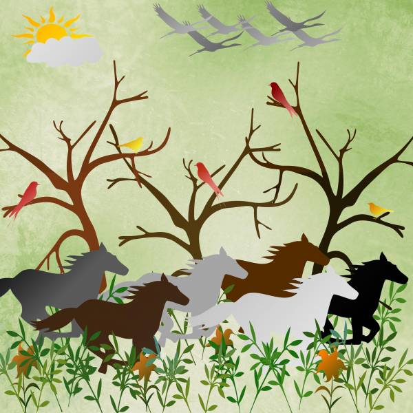 défi gabarit : folle chevauchée