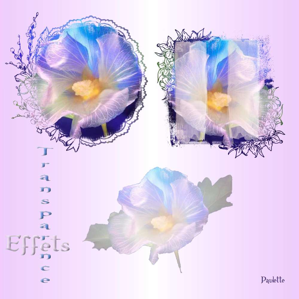 defi giecat ettet transparence