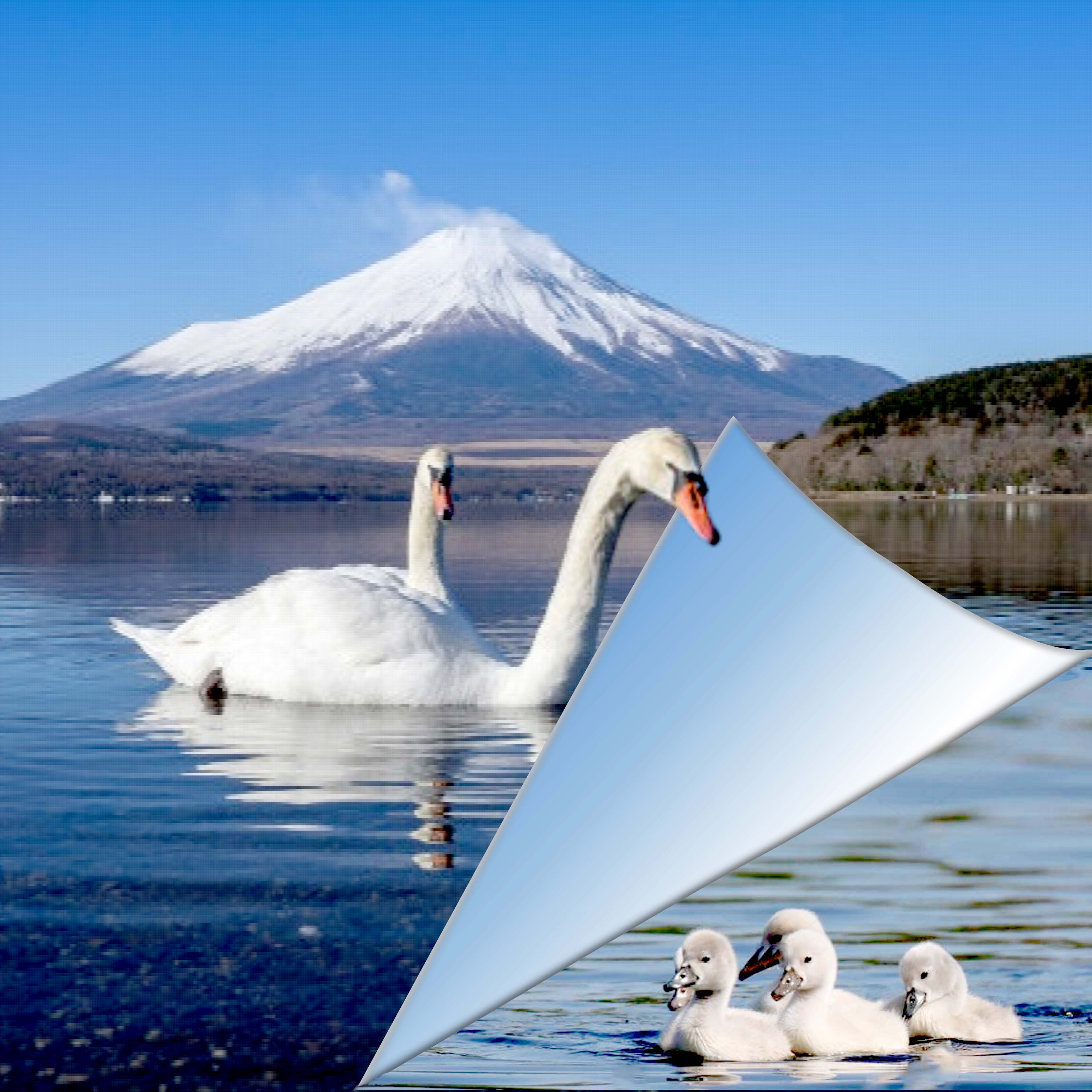 DEFI GIECAT. Page cornée.jpg