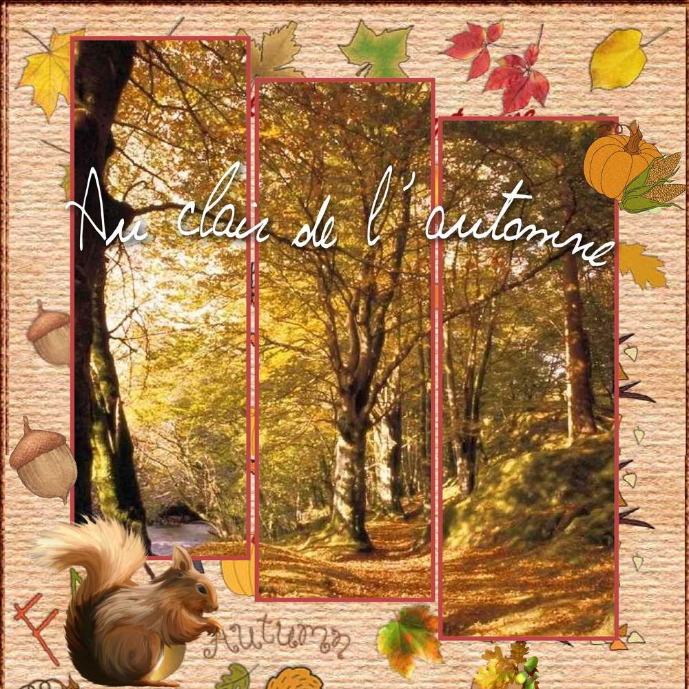 défi Giecat palette de couleur