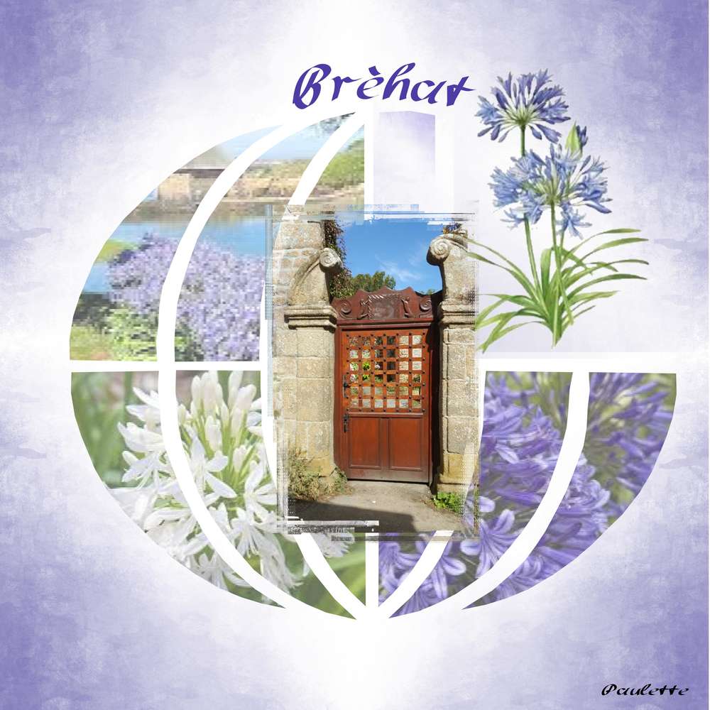 defi giecat porte 2016