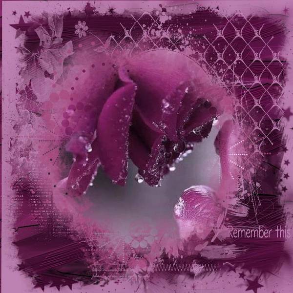 Défi Giecat Pourpre