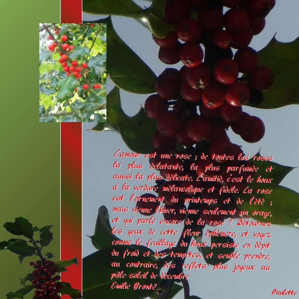 defi giecat scraplift