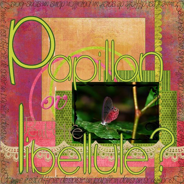 Défi Giecat Transparance