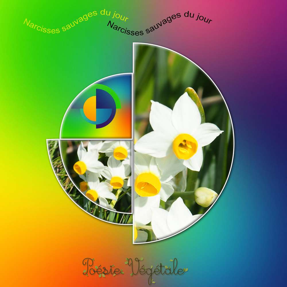 defi-giestat-image_propos__e_