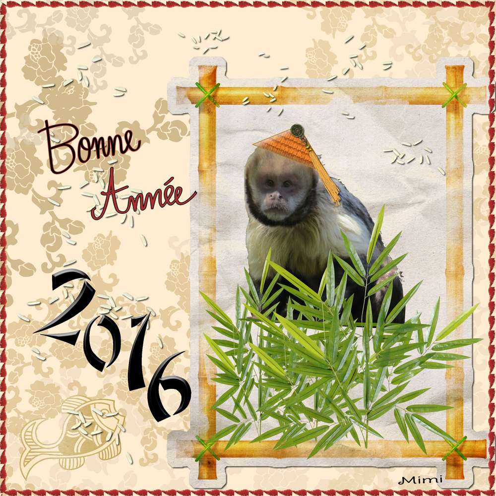 défi Gigi-nouvel an chinois