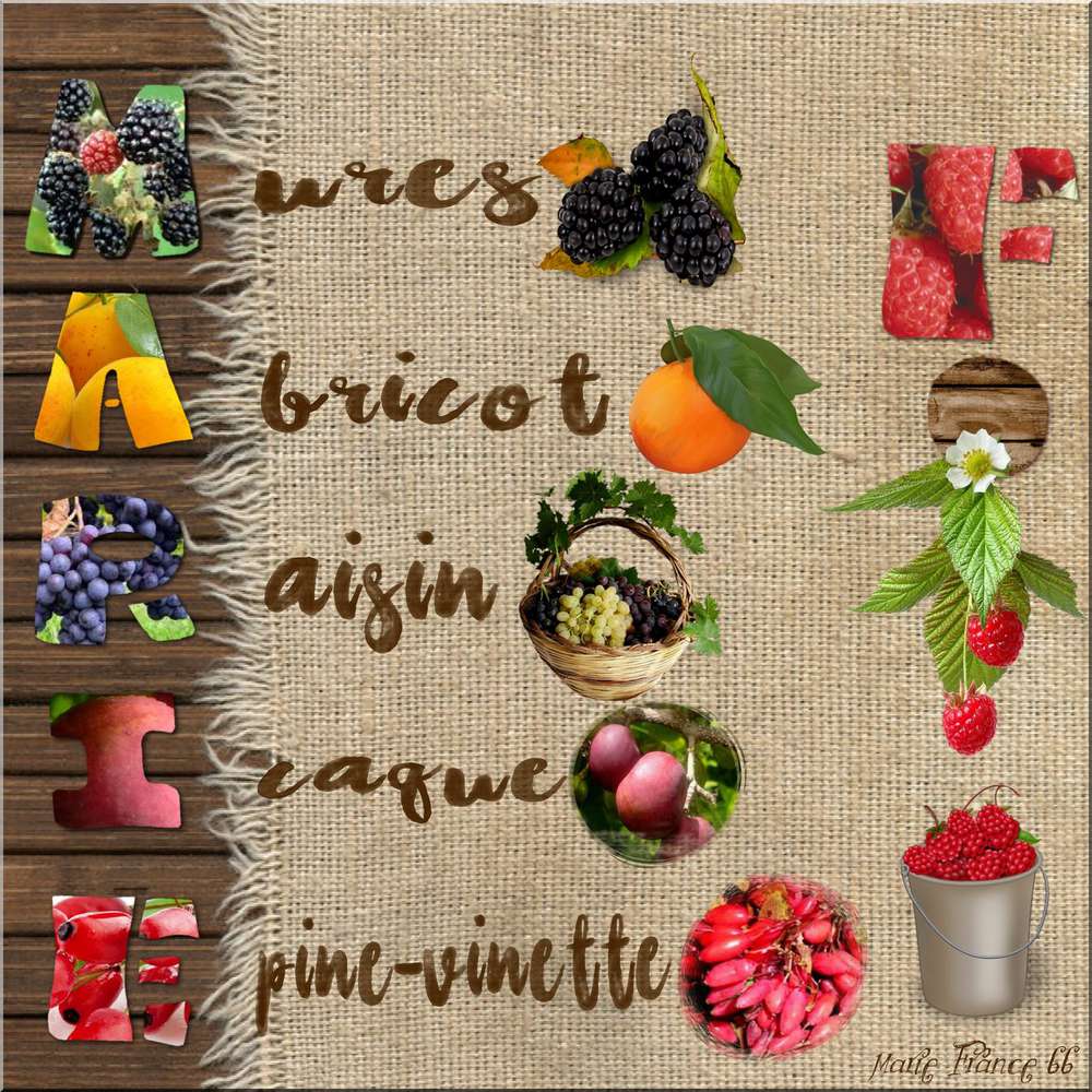 DEFI GILBERTE ACROSTICHE