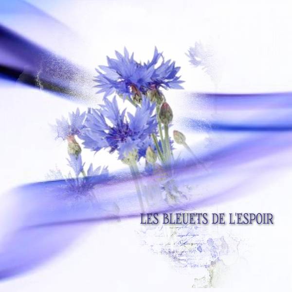 Défi Gilberte - Bleu