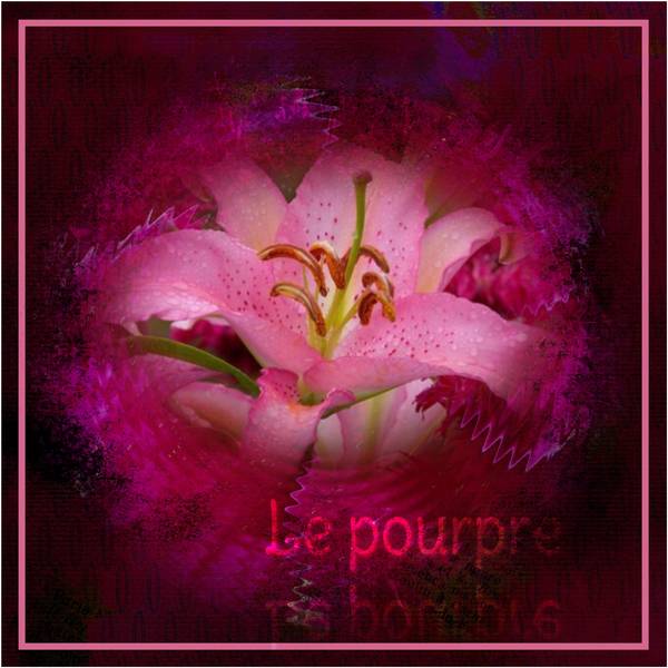 défi gilberte - couleur pourpre