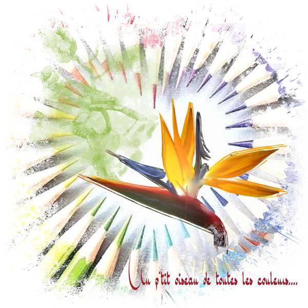 Defi Gilberte - couleurs