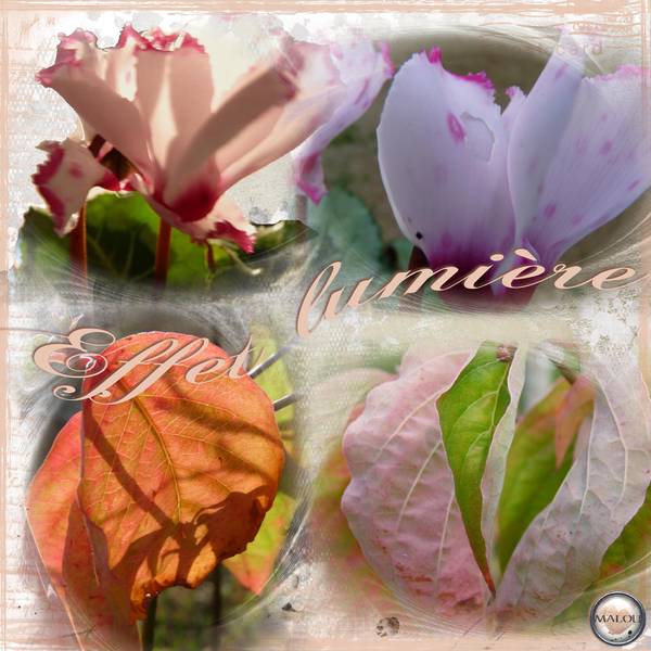 Défi Gilberte   : effet transparence