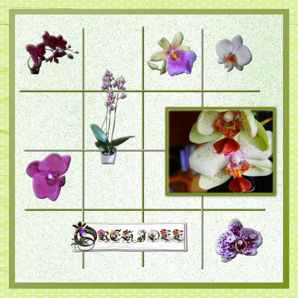 défi gilberte faire un scraplift