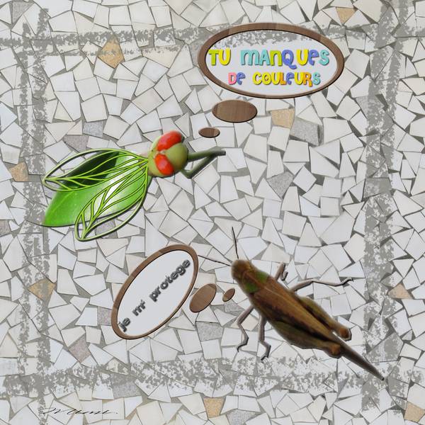 défi Gilberte-insecte