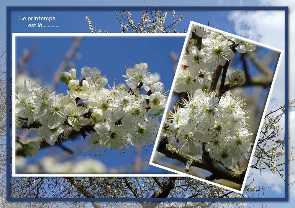 Défi Gilberte - l'arrivée du Printemps