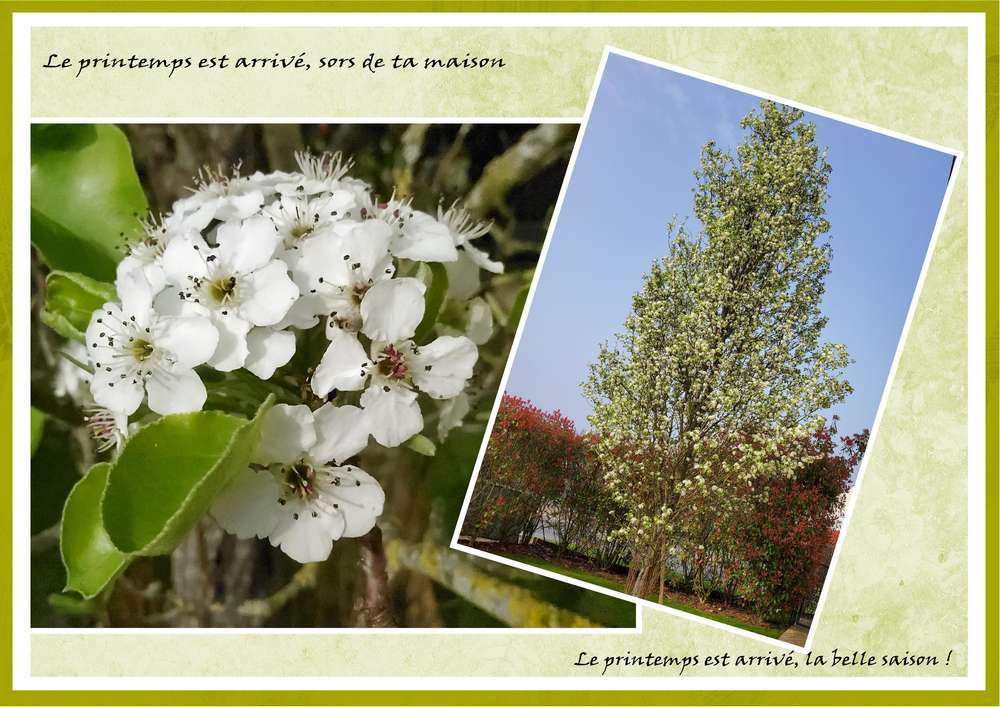 Défi Gilberte Le Printemps