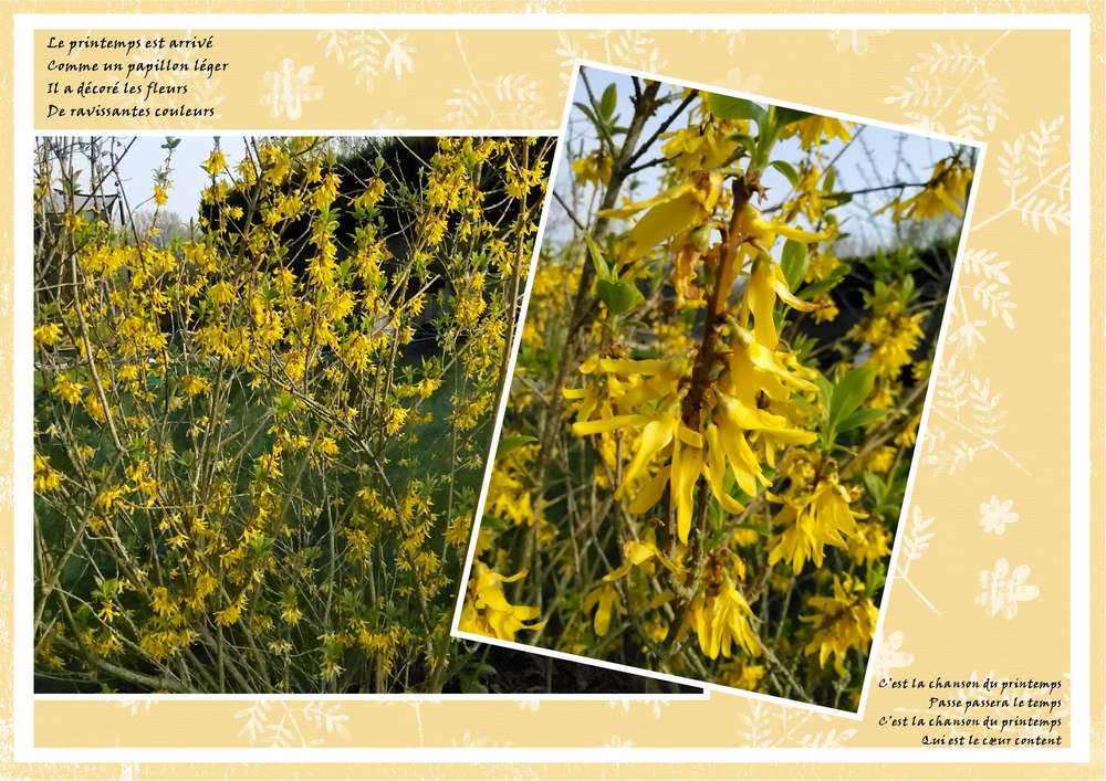 Défi Gilberte - Le Printemps