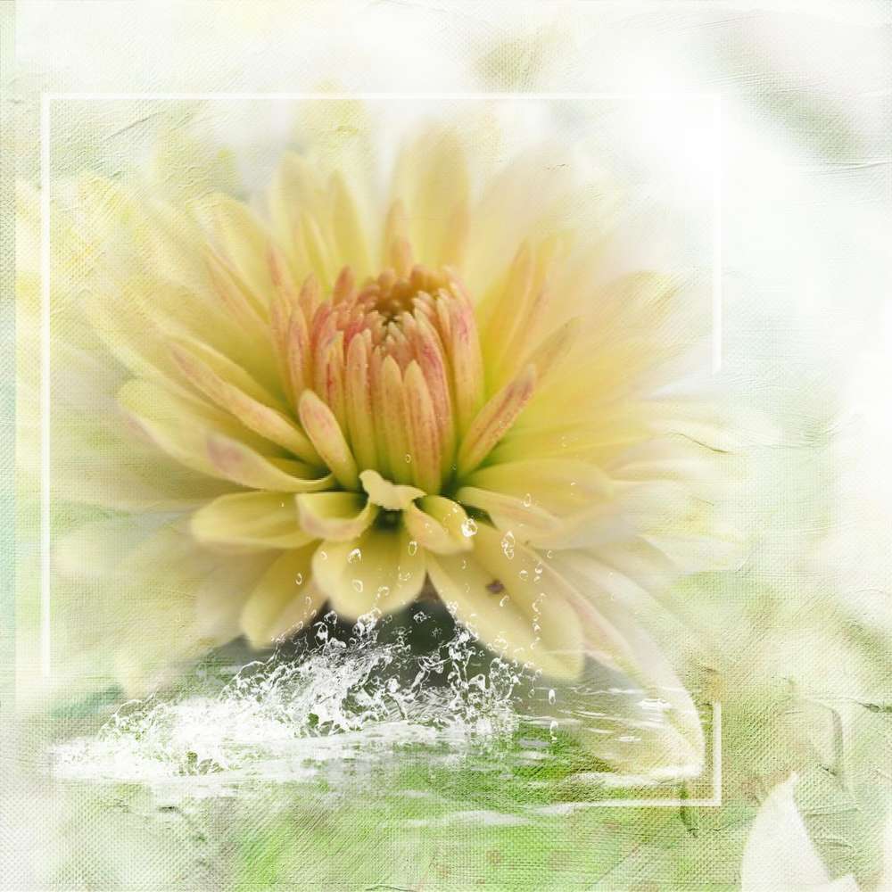 défi Gilberte Novembre. Bonne journée