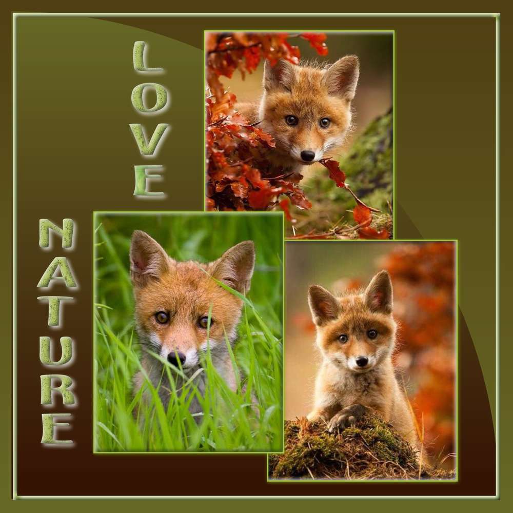 défi Gilberte novembre