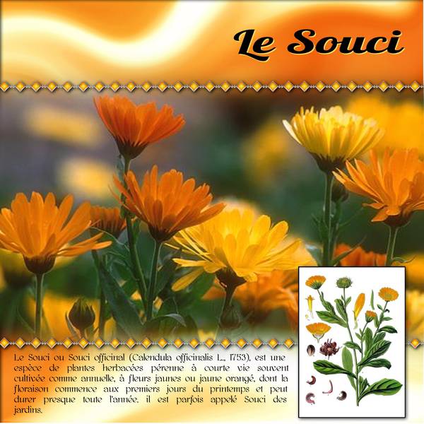 Défi Gilberte - Orange