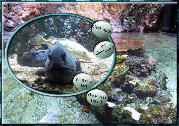 défi Gilberte-ovale