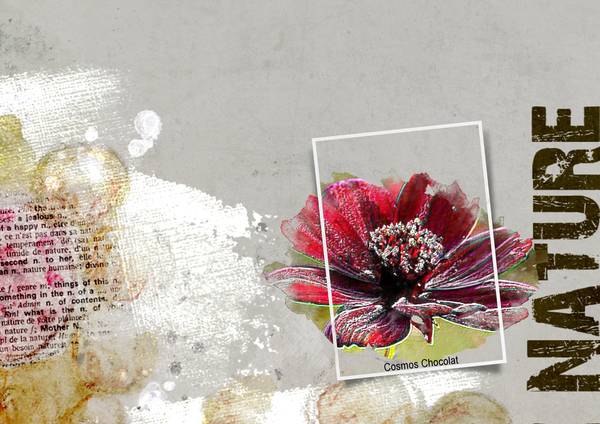 Défi Gilberte Photo imposée