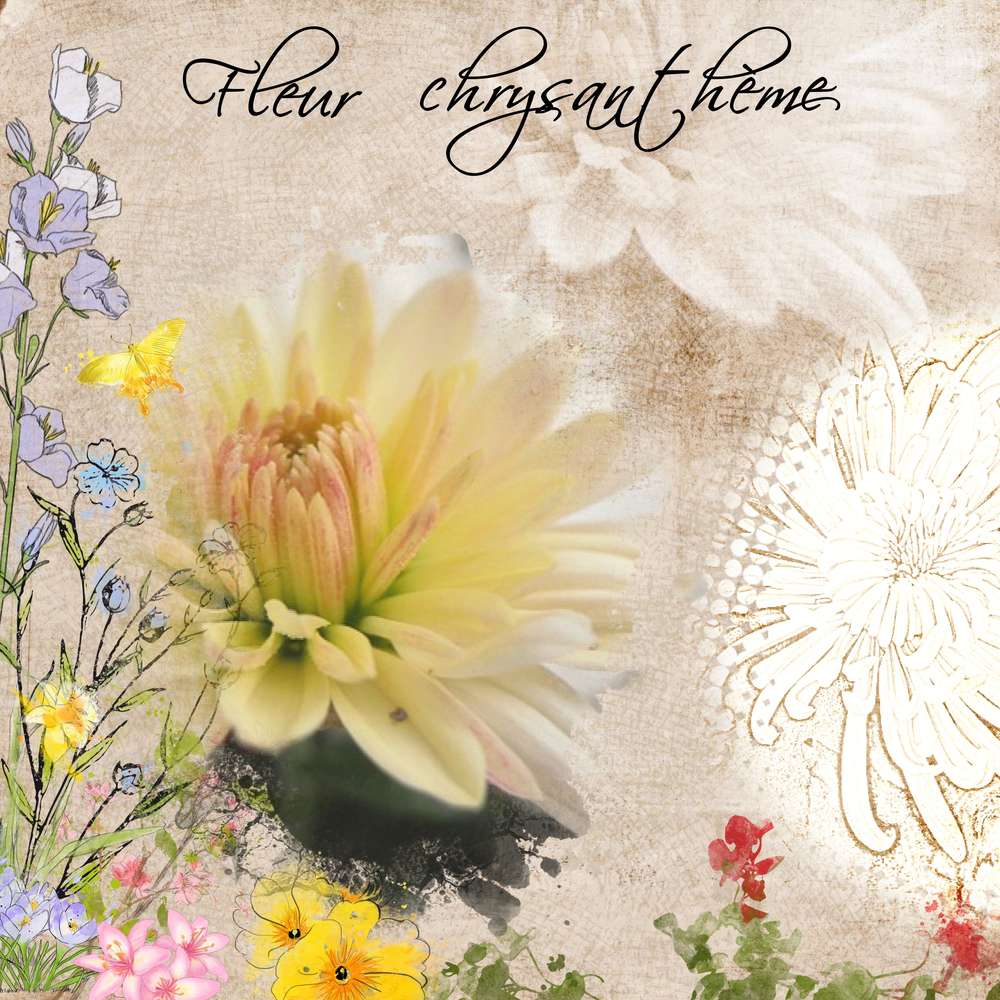 defi Gilberte photo imposée