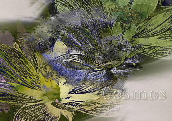 Défi Gilberte - Photo proposée COSMOS