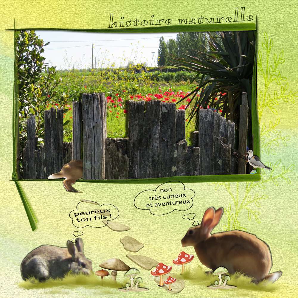 défi Gilberte-porte....