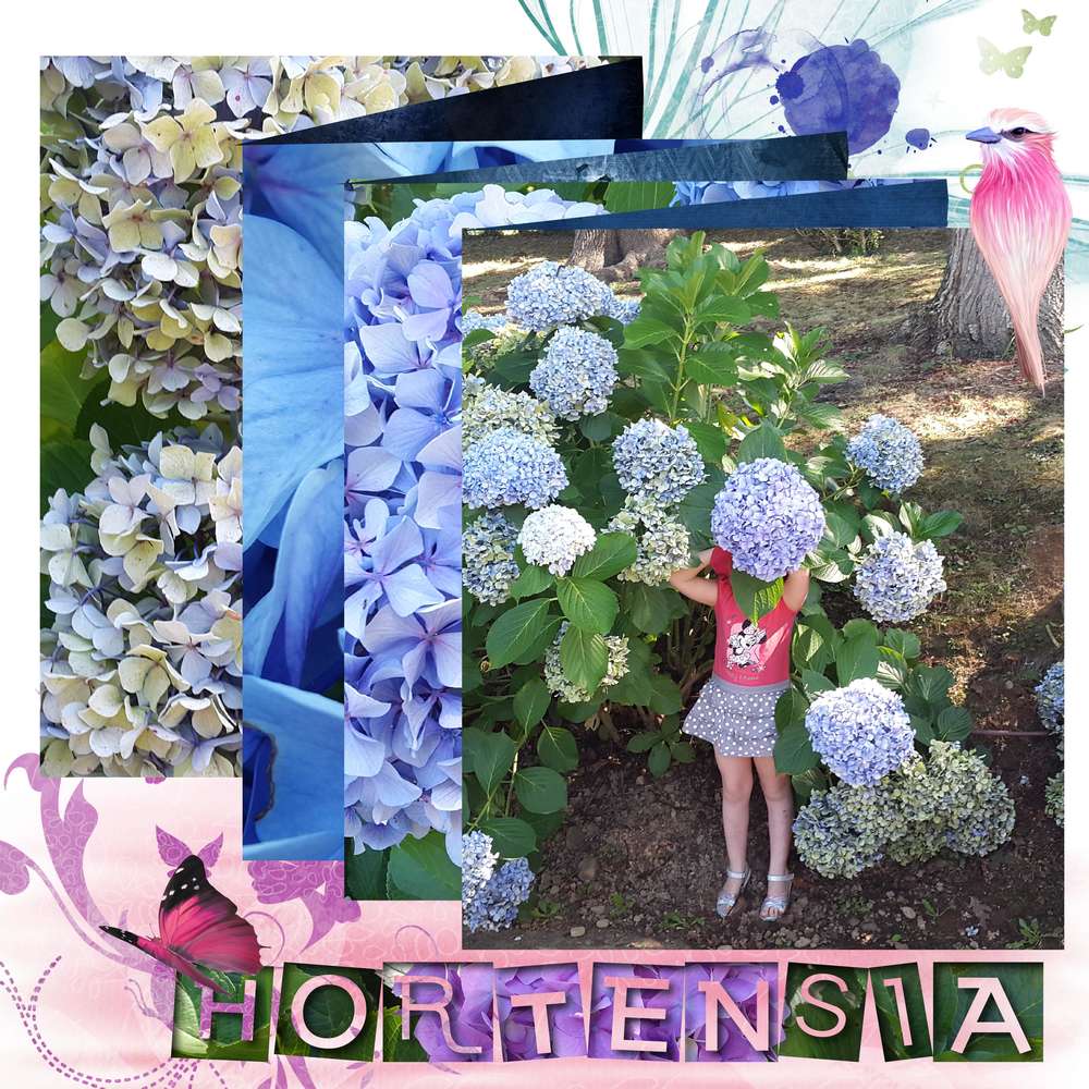 defi gilberte scraplift