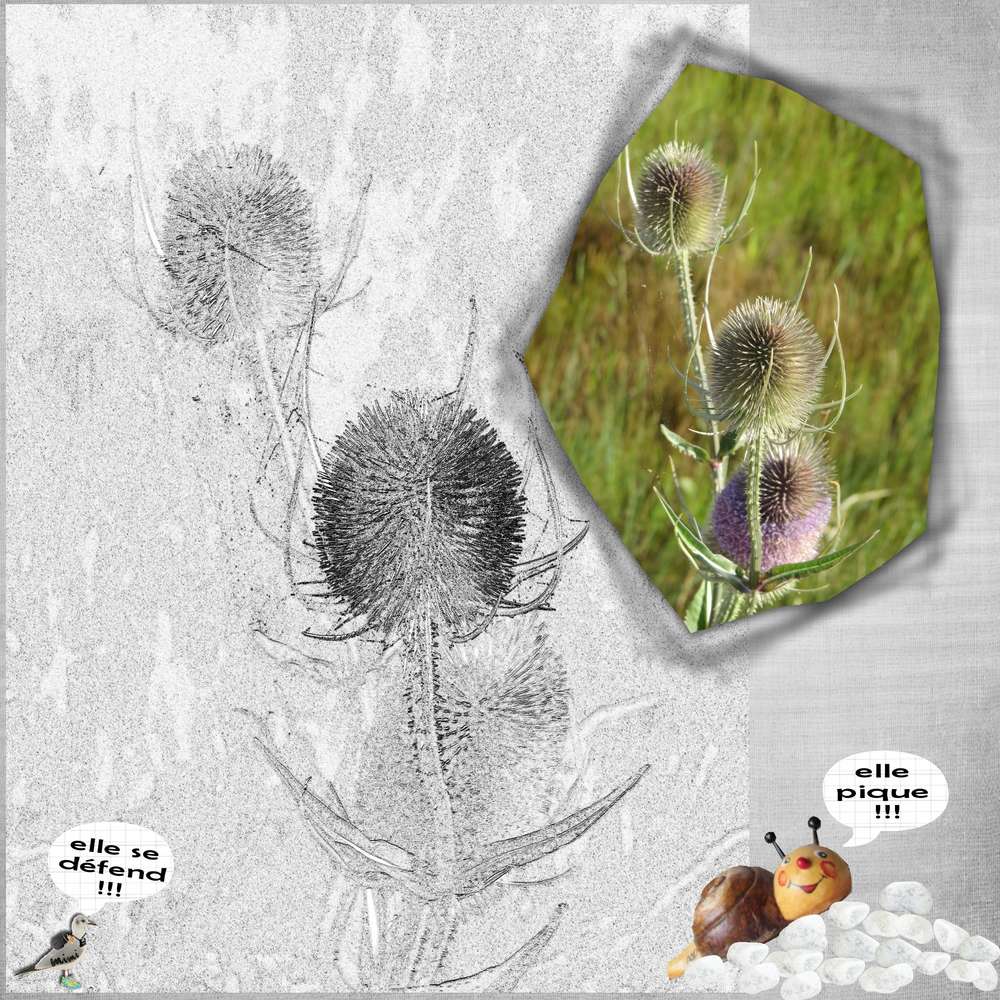 défi Gilberte-si j'étais une fleur