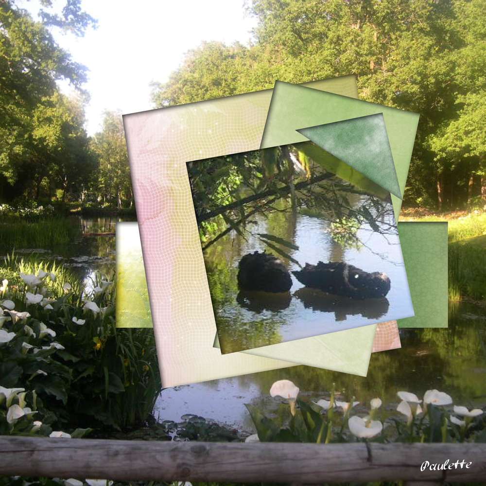 defi Gilberte template 02 17