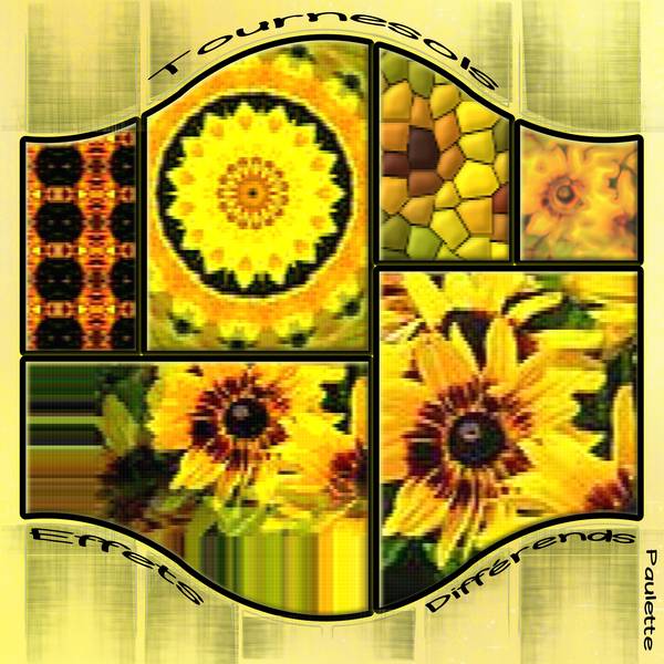 defi gilberte tournesols