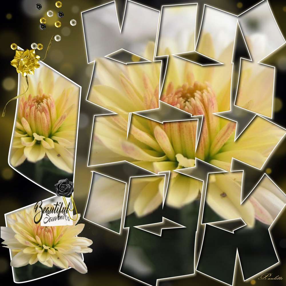 defi gilberte utilser une photo 11 16