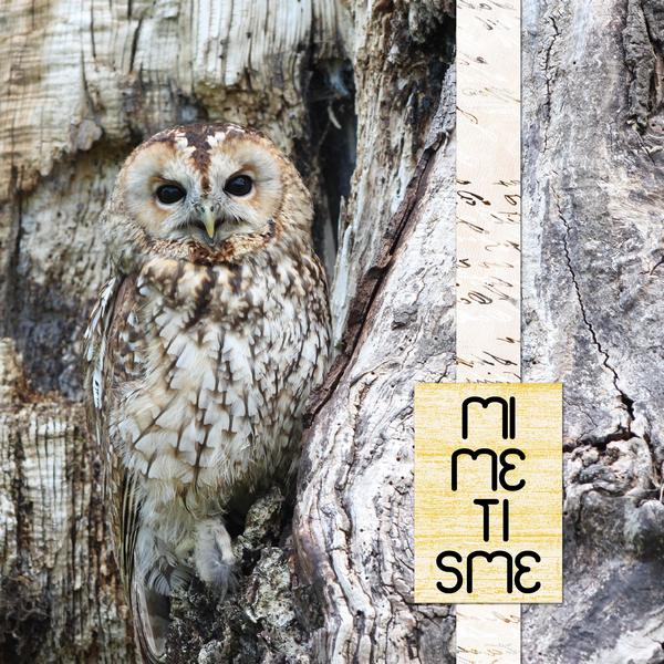 Défi Gilberte, version debout.