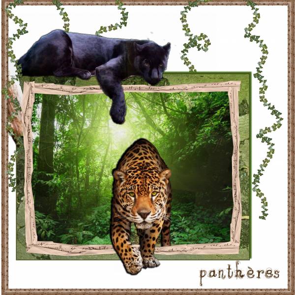 défi hors cadre mamyrose