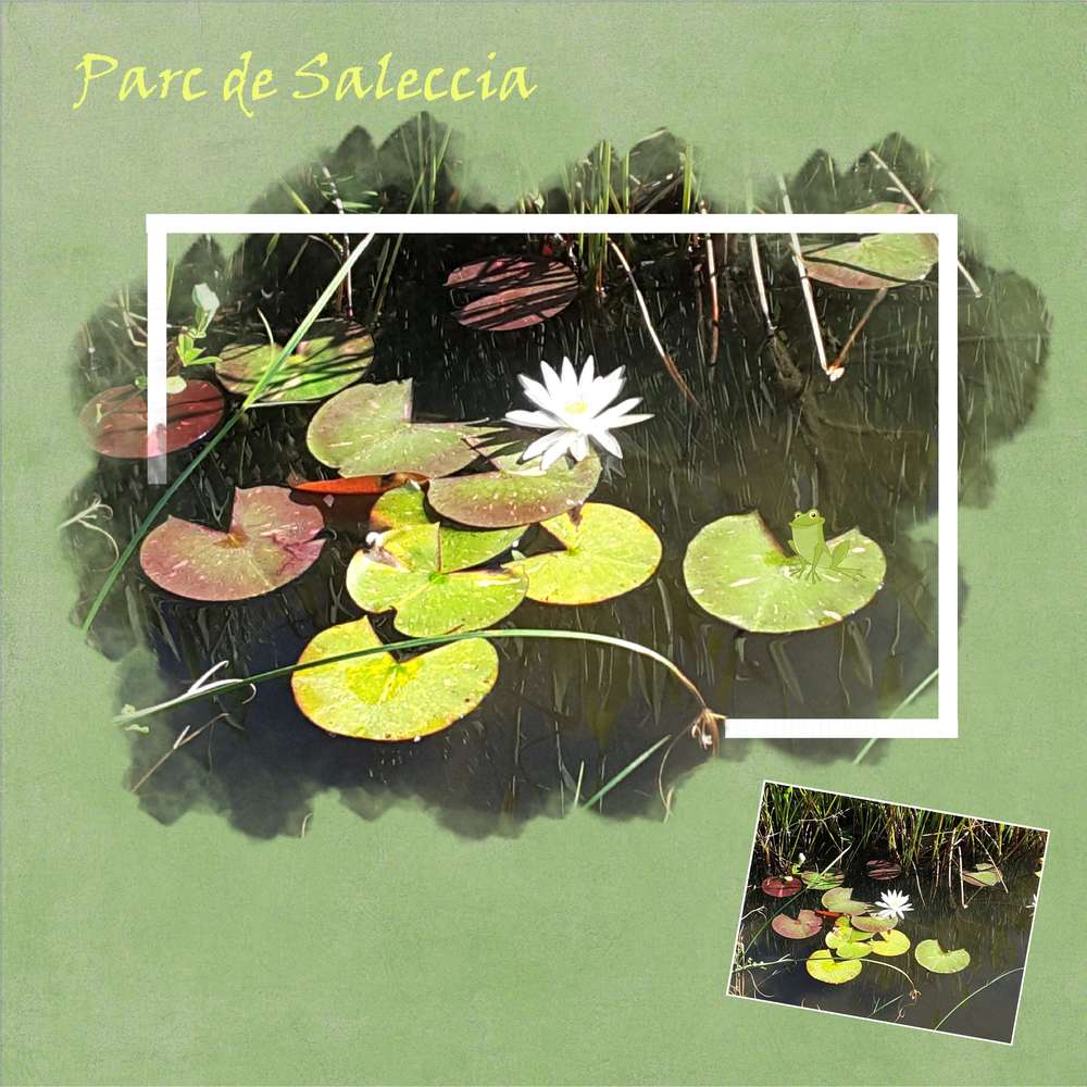 Défi hors cadre Moyson