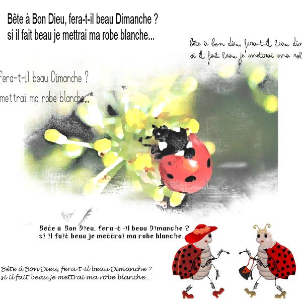 Défi Insecte Portrait chinois Giecat