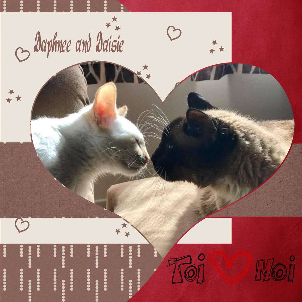 Défi inspiration Amour