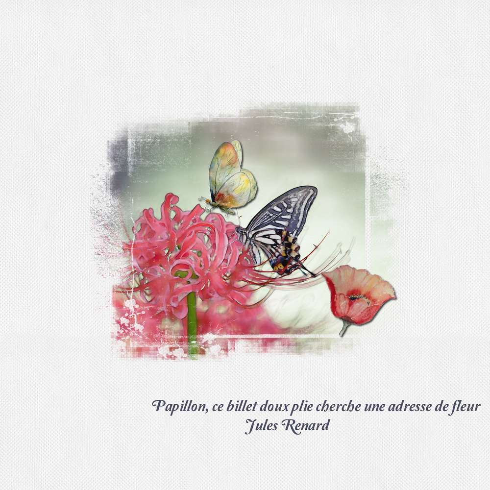 Défi inspiration - CDIP