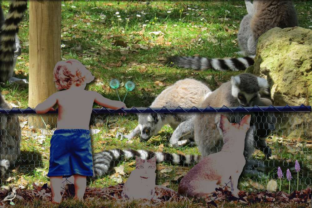 défi inspiration-complicité