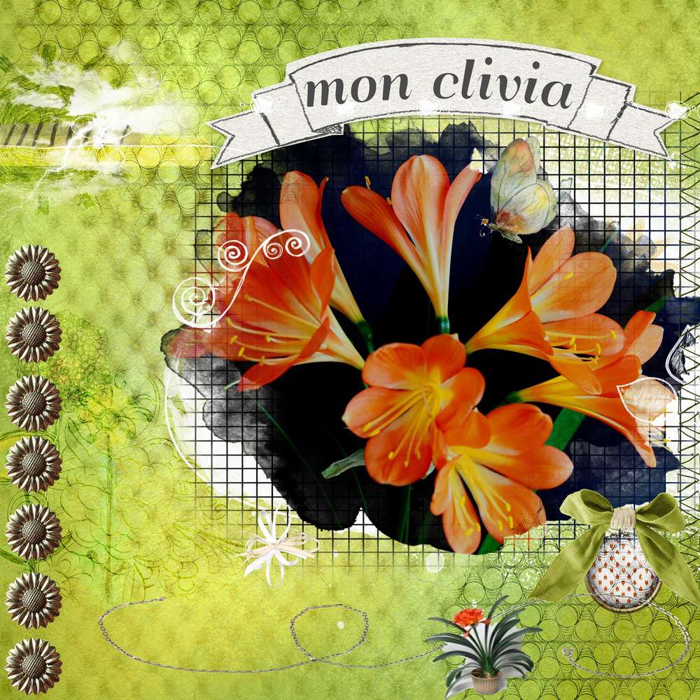 defi-inspiration-fleur_de_janvier_