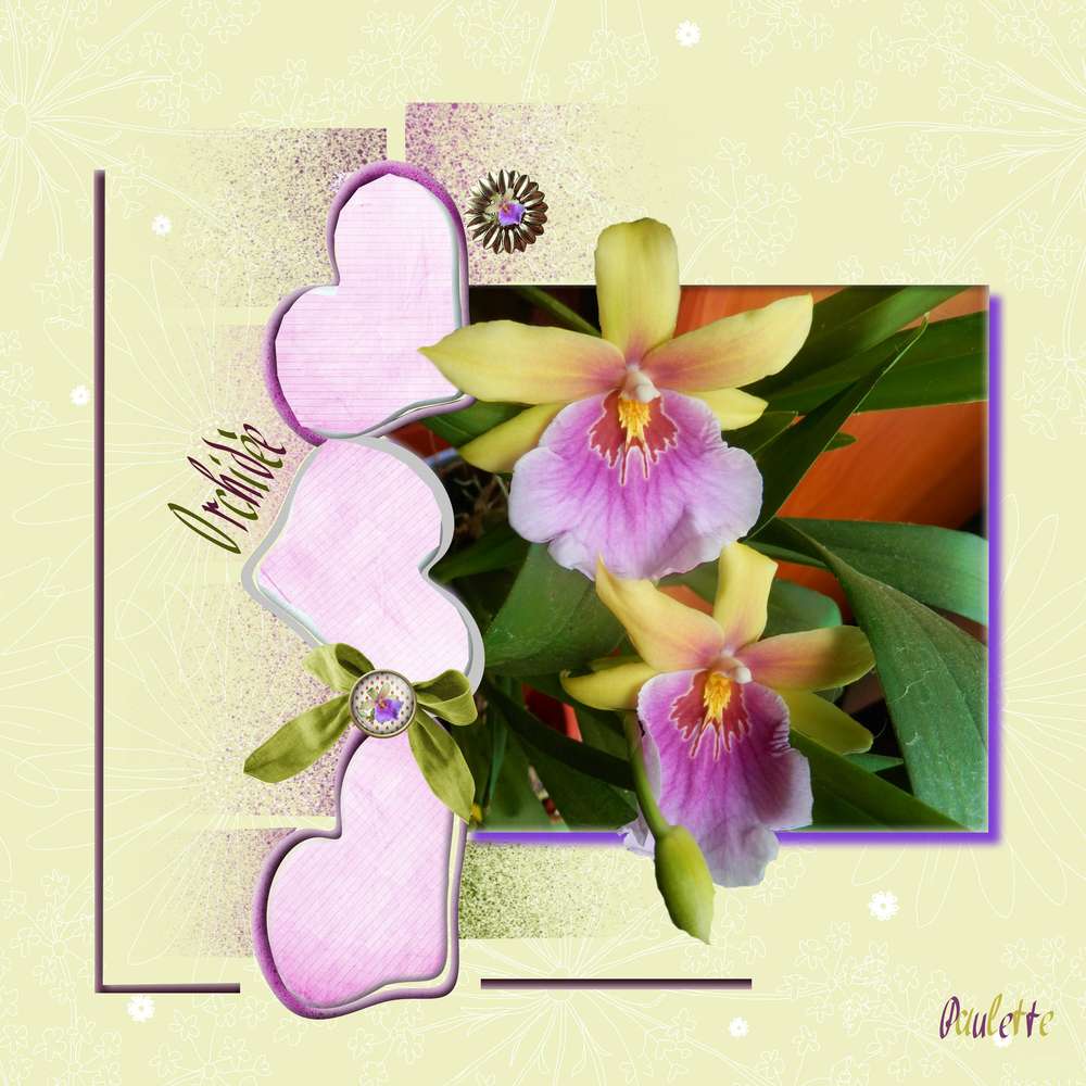 defi inspiration fleurs janvier 2017