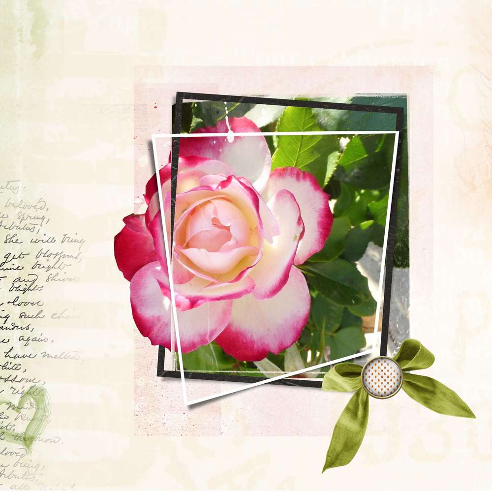 defi-inspiration-fleurs-visuel-web