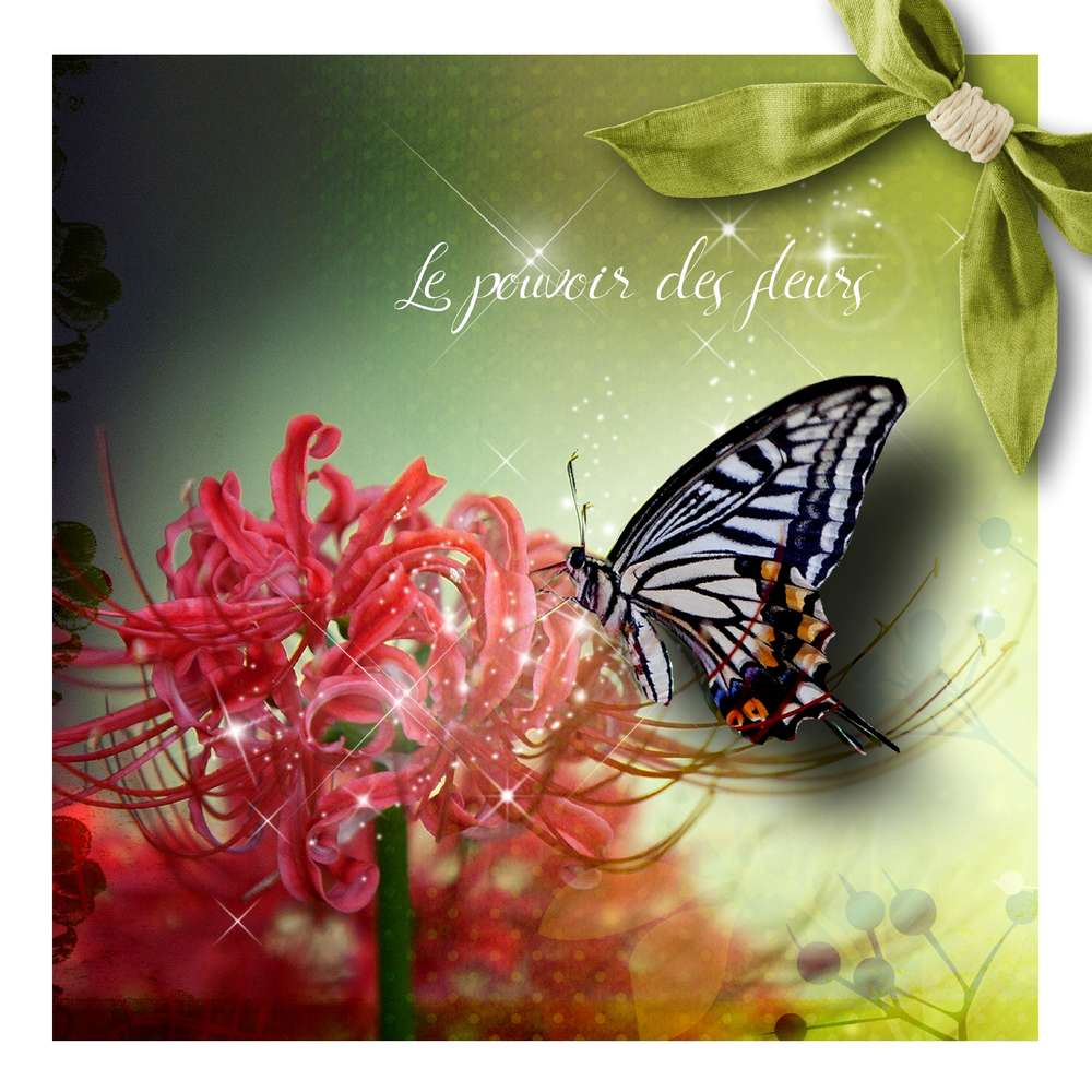 Defi inspiration Fleurs