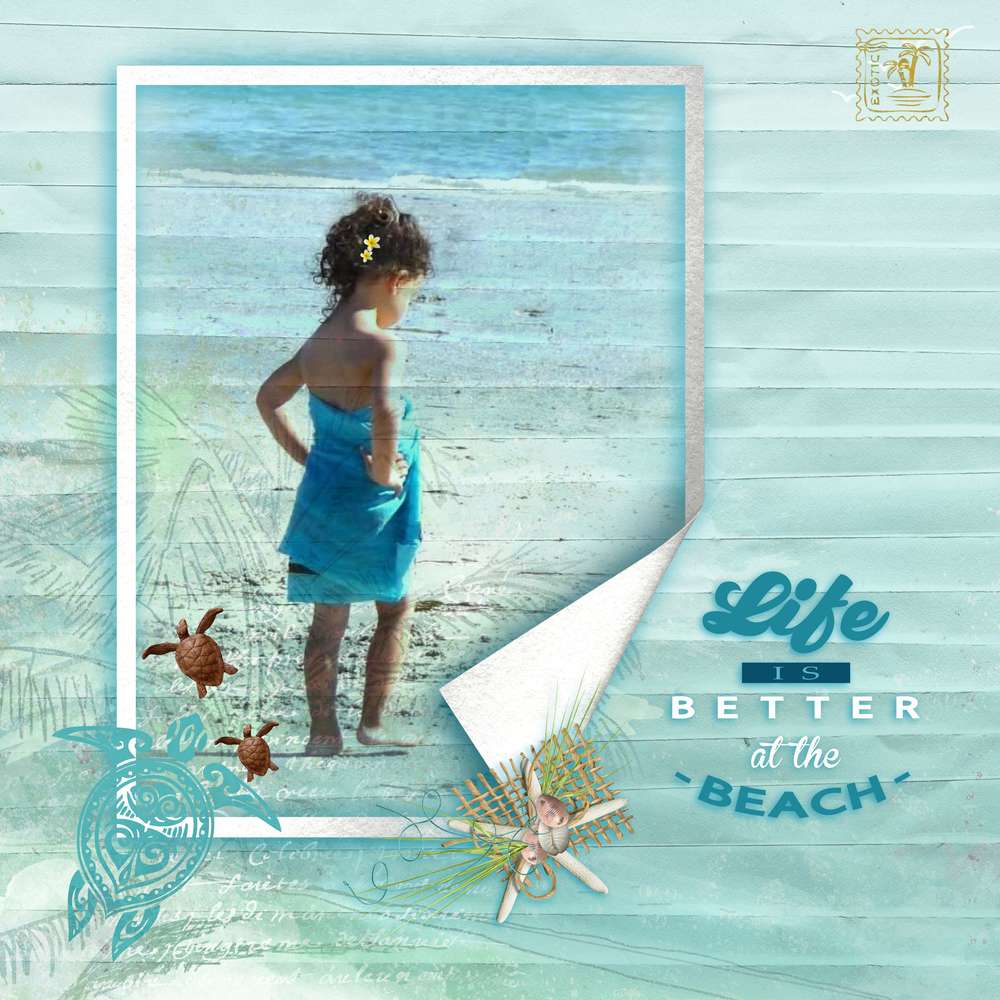 DEFI Inspiration life is better...