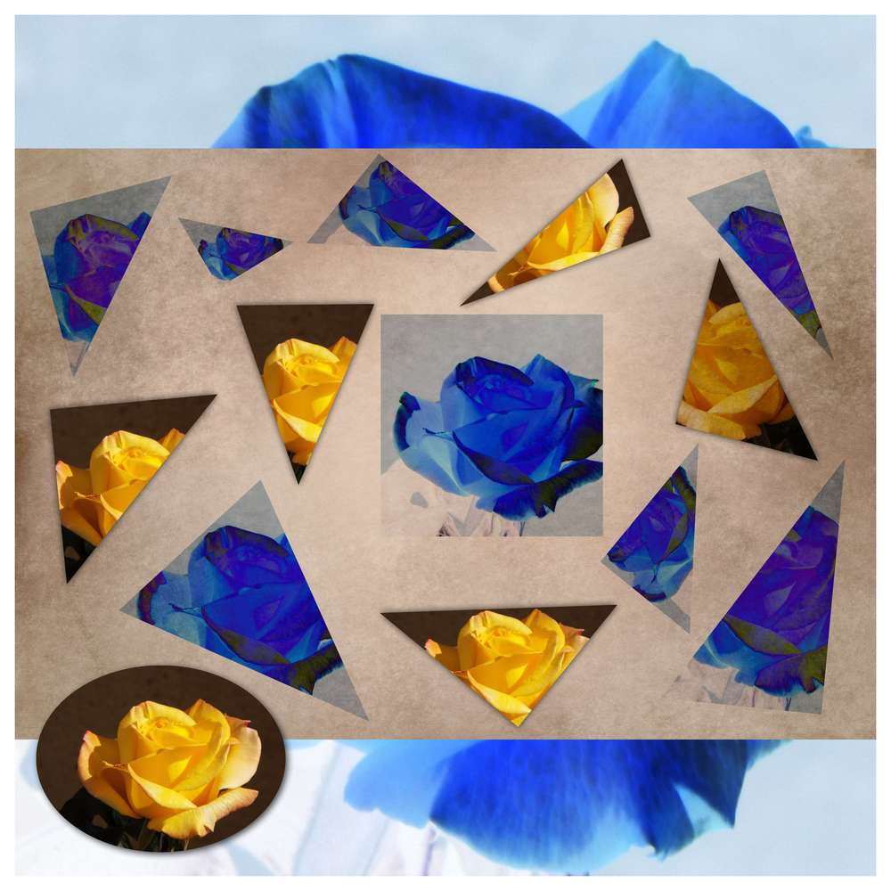 Défi inversion et triangles de Max